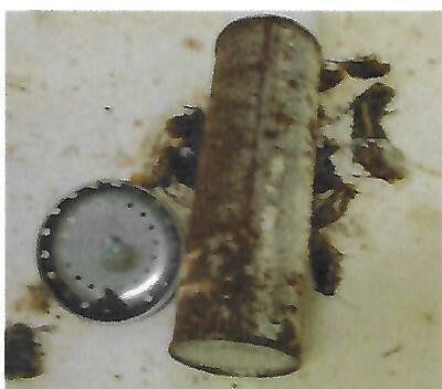 Cockroaches and debris photographed around a sink drain inside the shelter