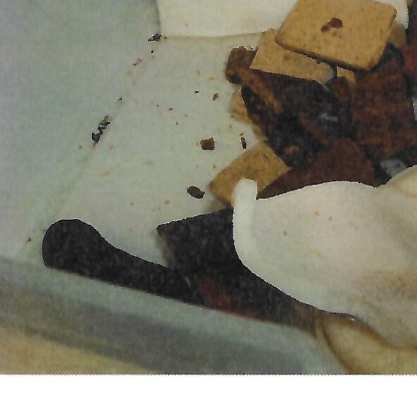 A dead mouse photographed inside an open bin containing animal food